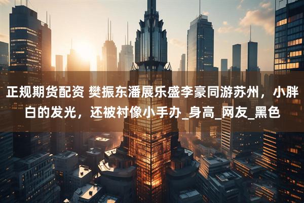 正规期货配资 樊振东潘展乐盛李豪同游苏州，小胖白的发光，还被衬像小手办_身高_网友_黑色
